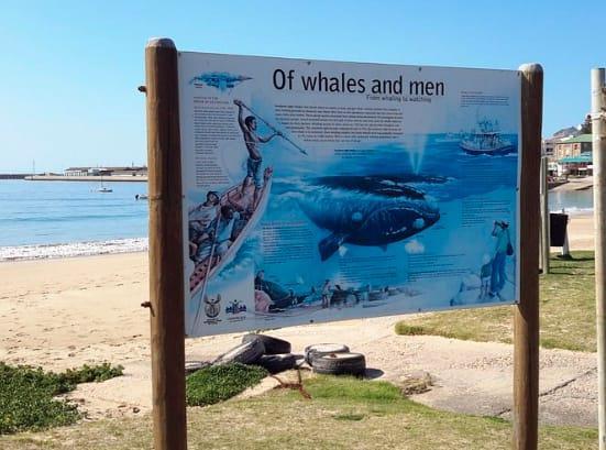 2 Bedroom Property for Sale in Mossel Bay Western Cape